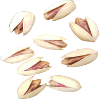 akbarsqu