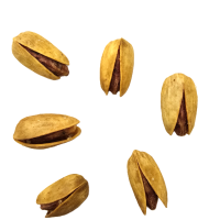 ۲۰۲۵۰۵۲۷_۱۲۳۸۳۱[1] (Custom)